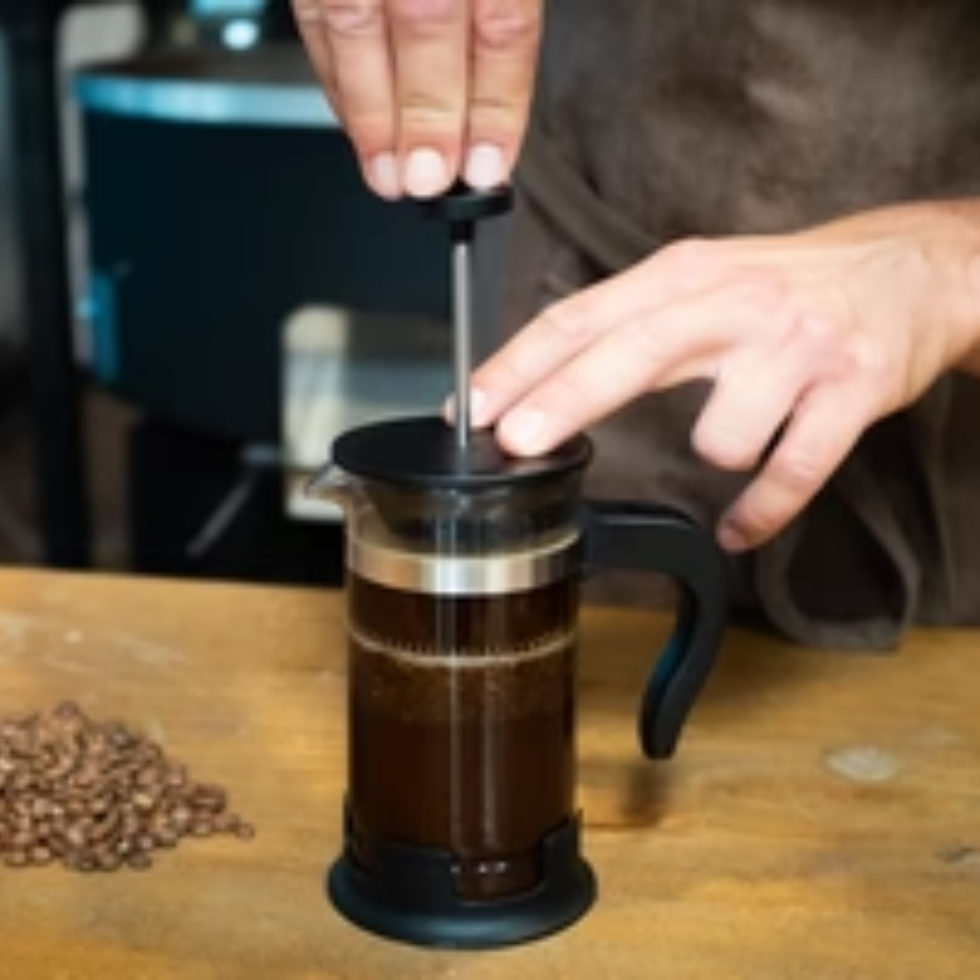 COFEEFRENCH - Cafetera con prensa francesa
